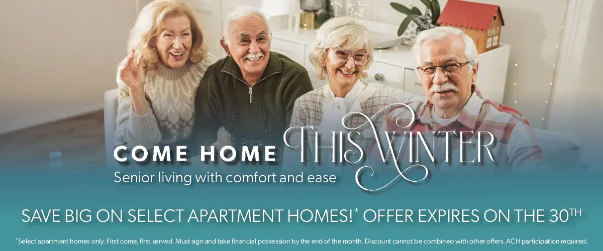 VNPL DigAd Webslider Come Home This Winter October 2026 1200x500